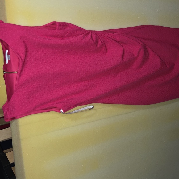Bisou Bisou Vibrant Pink Midi Dress - Picture 3 of 4